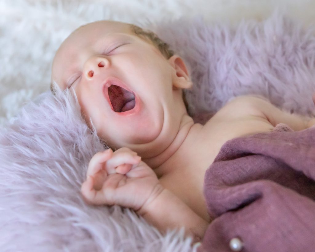 Grey Girl Photography New Born in Berks County PA