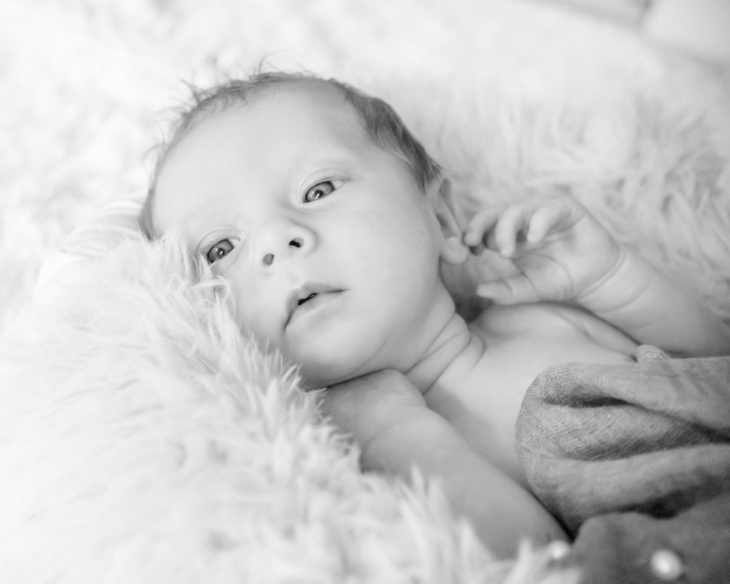 Grey Girl Photography New Born in Berks County PA