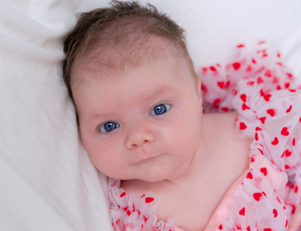 Grey Girl Photography Berks County Newborn Portrait in Berks County